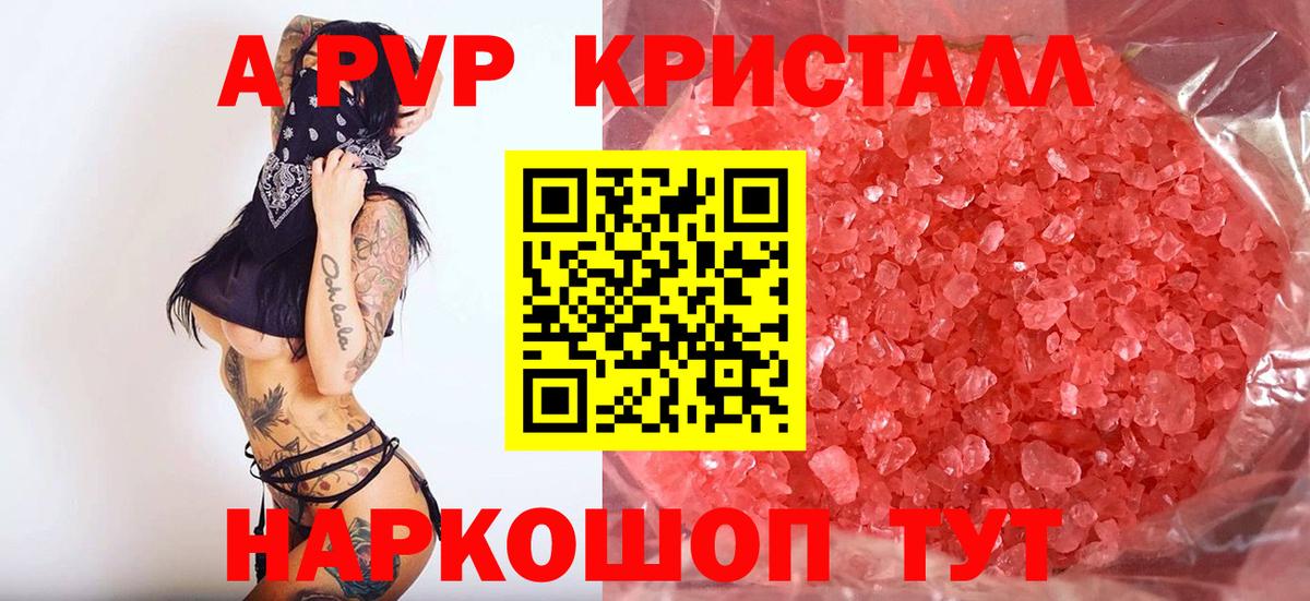 закладки  A PVP мука  A PVP крисы CK  Вход с VPN  A-PVP VHQ  Кизляр 