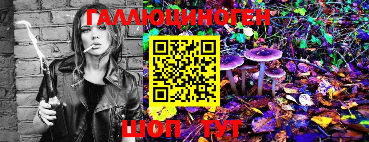 Галлюциногенные грибы MAGIC MUSHROOMS Кизляр
