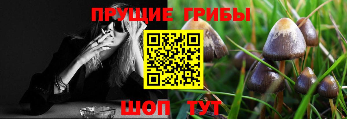 Кизляр  Псилоцибиновые грибы Psilocybe  дарнет шоп  Вход с VPN 